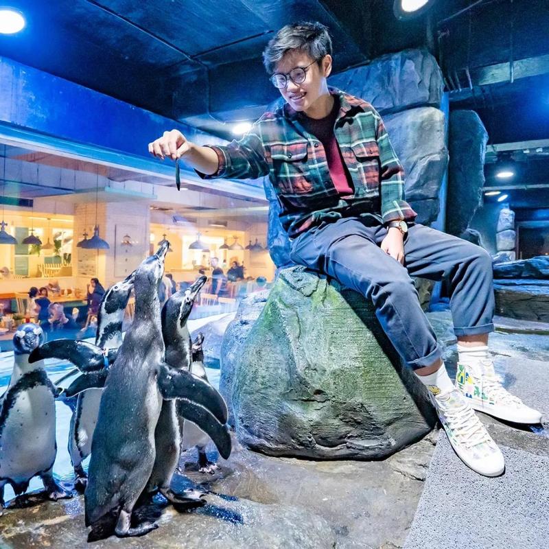 Jakarta AQuarium Safari photo 3