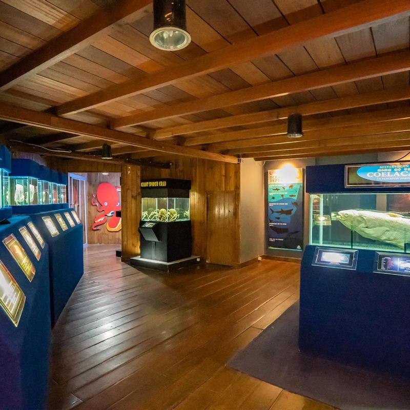 Sea World Ancol Ticket photo 4